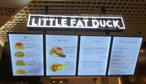 Little Fat Duck