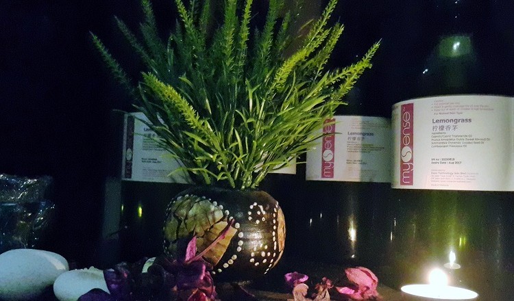Oils - V Beauty Care & Body Care (2)