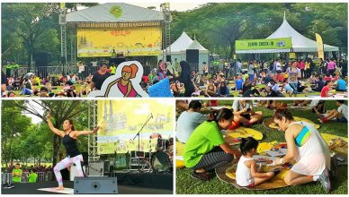 Zespri Sungold Kiwifest