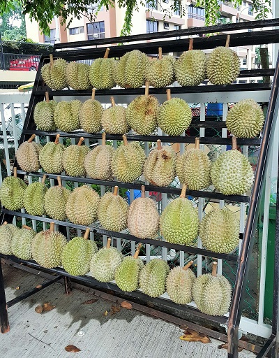 Durian King TTDI 2