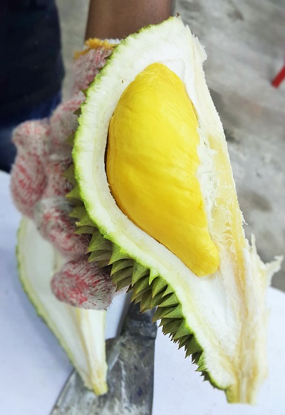 Durian King TTDI 4 (2)