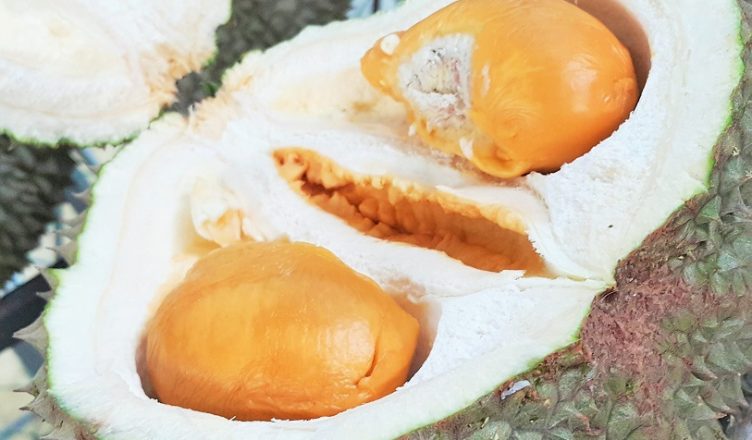 Durian King TTDI