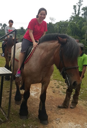 Bukit Gambang 11