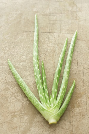 mary-kay-botanical-effects-2