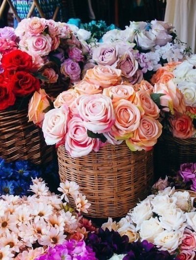 A Better Florist 1