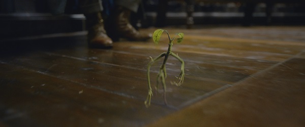 Fantastic-Beasts-2