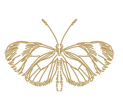 Butterfly Project Logo